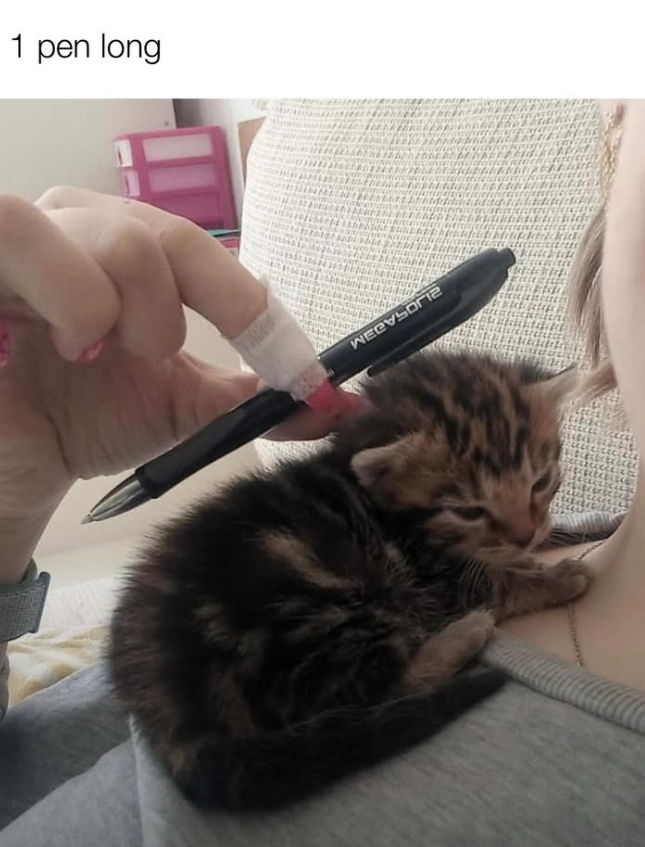 1 pen long WECESORI