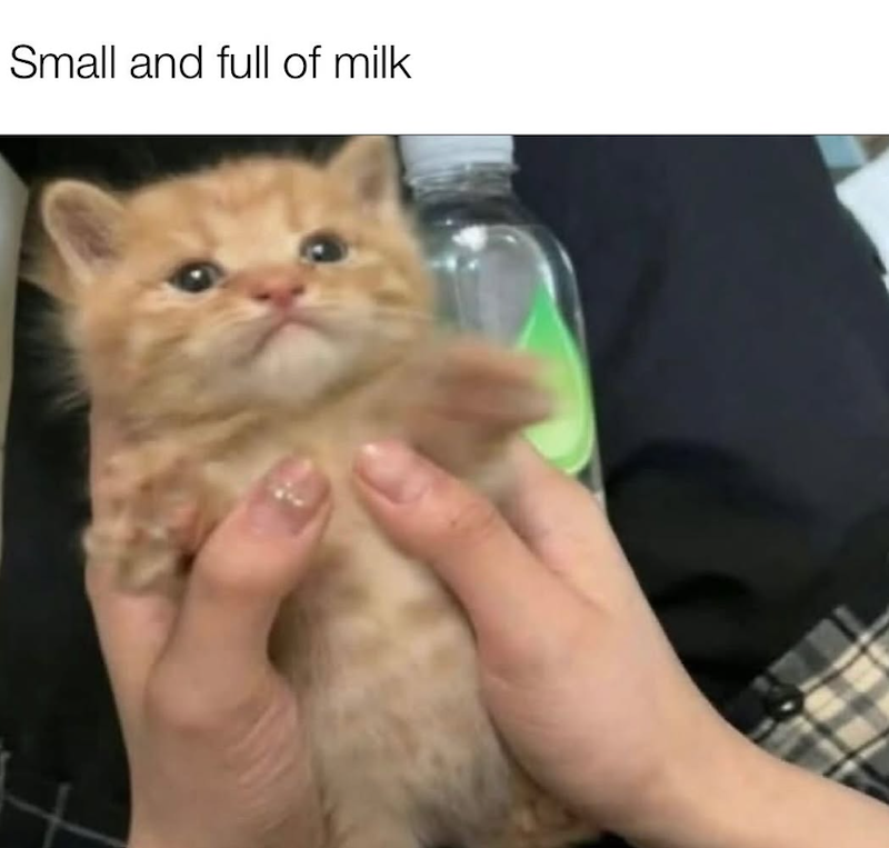 Small and full of milk