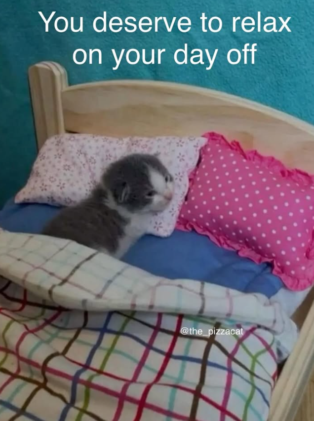 You deserve to relax on your day off @the_pizzacat