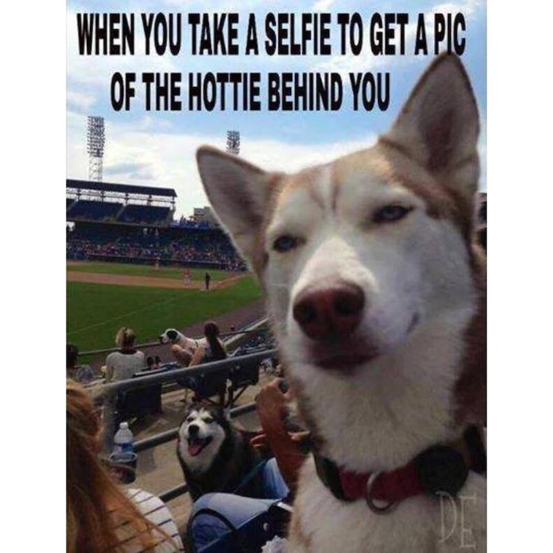 WHEN YOU TAKE A SELFIE TO GET A PIC OF THE HOTTIE BEHIND YOU