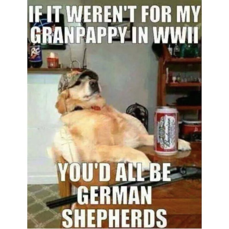 IF IT WEREN'T FOR MY GRANPAPPY IN WWII YOU'D ALL BE GERMAN SHEPHERDS