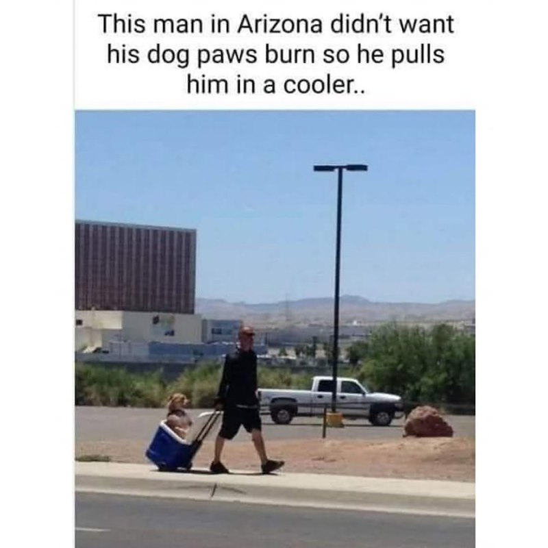 This man in Arizona didn't want his dog paws burn so he pulls him in a cooler..