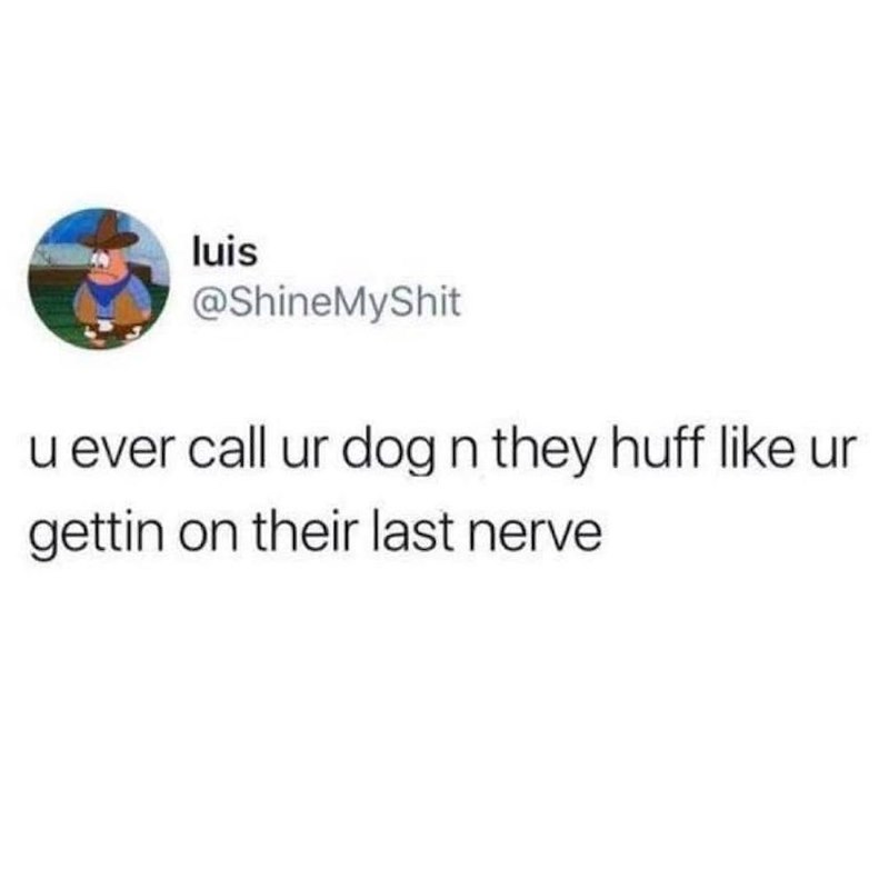 luis @ShineMyShit u ever call ur dog n they huff like ur gettin on their last nerve