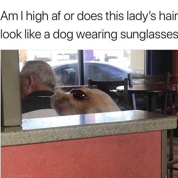 Am I high af or does this lady's hair look like a dog wearing sunglasses