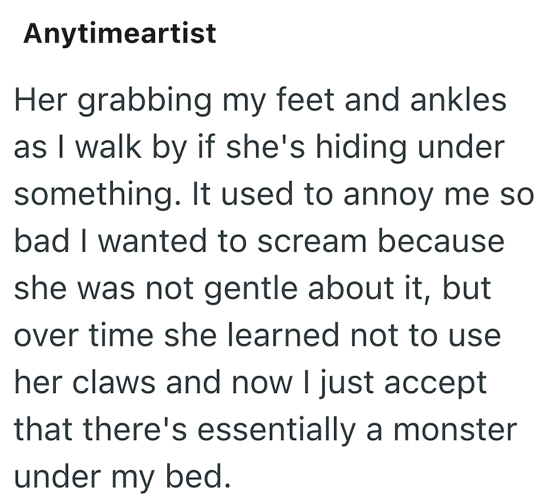 Anytimeartist Her grabbing my feet and ankles as I walk by if she's hiding under something. It used to annoy me so bad I wanted to scream because she was not gentle about it, but over time she learned not to use her claws and now I just accept that there's essentially a monster under my bed.
