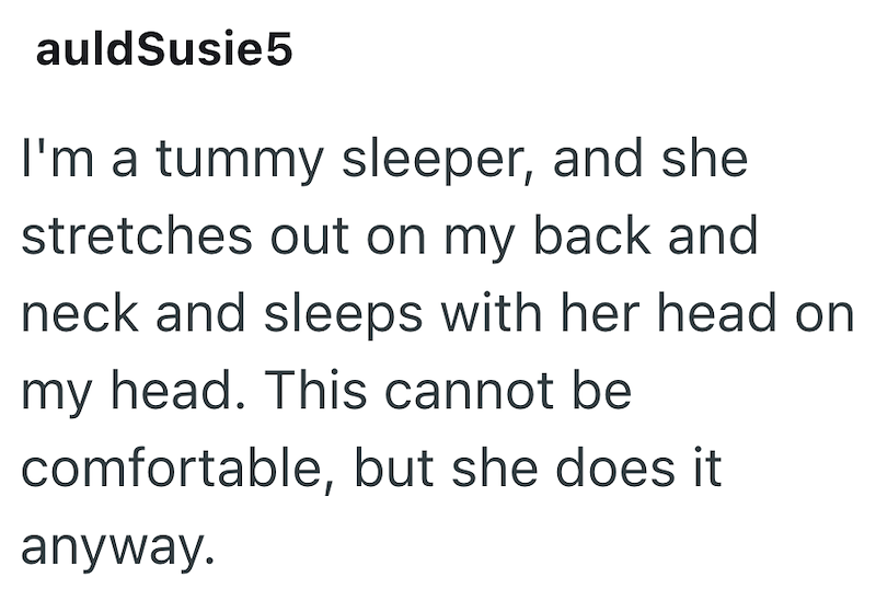 auldSusie5 I'm a tummy sleeper, and she stretches out on my back and neck and sleeps with her head on my head. This cannot be comfortable, but she does it anyway.