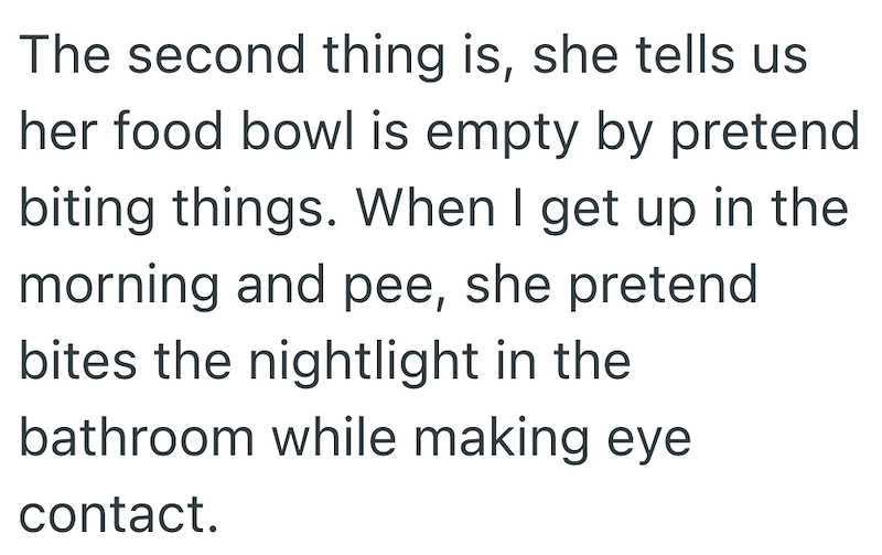 The second thing is, she tells us her food bowl is empty by pretend biting things. When I get up in the morning and pee, she pretend bites the nightlight in the bathroom while making eye contact.