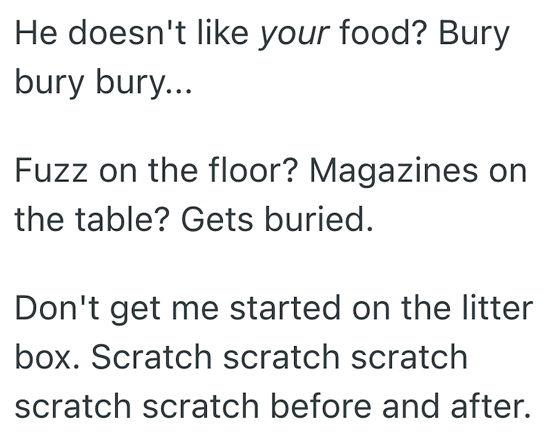 He doesn't like your food? Bury bury bury... Fuzz on the floor? Magazines on the table? Gets buried. Don't get me started on the litter box. Scratch scratch scratch scratch scratch before and after.