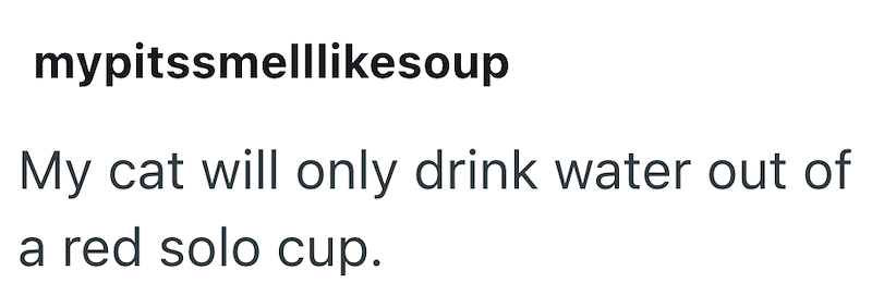 mypitssmelllikesoup My cat will only drink water out of a red solo cup.