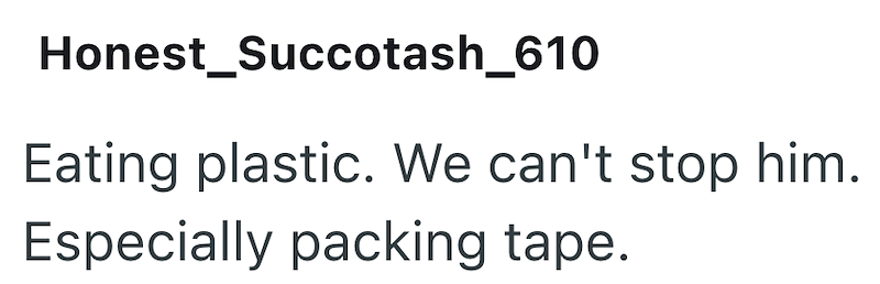 Honest_Succotash_610 Eating plastic. We can't stop him. Especially packing tape.