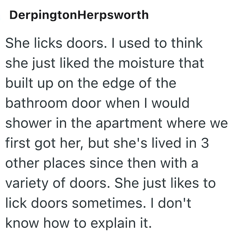 DerpingtonHerpsworth She licks doors. I used to think she just liked the moisture that built up on the edge of the bathroom door when I would shower in the apartment where we first got her, but she's lived in 3 other places since then with a variety of doors. She just likes to lick doors sometimes. I don't know how to explain it.