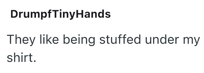DrumpfTinyHands They like being stuffed under my shirt.