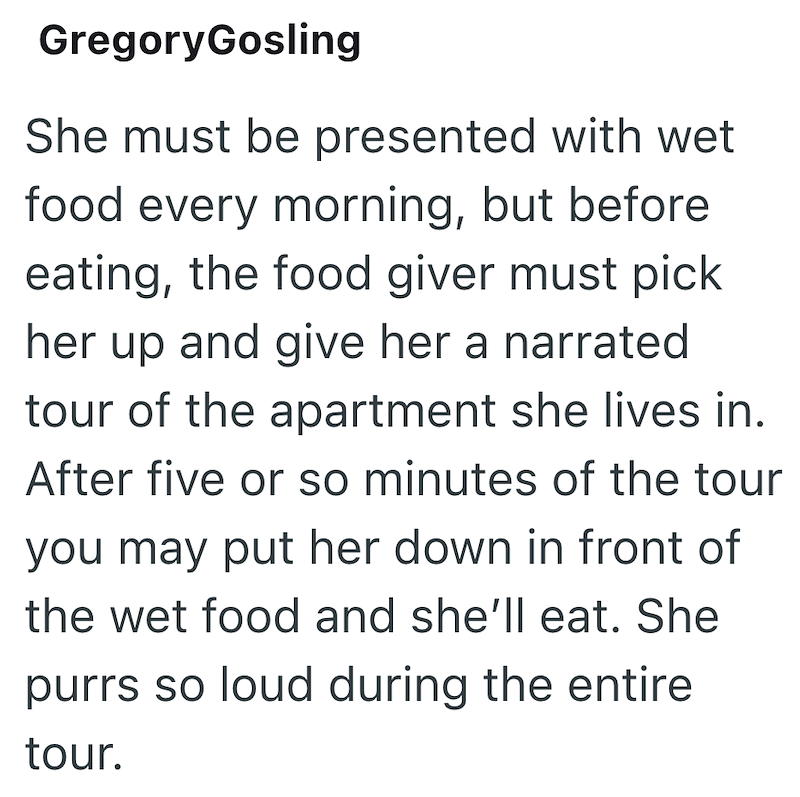 GregoryGosling She must be presented with wet food every morning, but before eating, the food giver must pick her up and give her a narrated tour of the apartment she lives in. After five or so minutes of the tour you may put her down in front of the wet food and she'll eat. She purrs so loud during the entire tour.