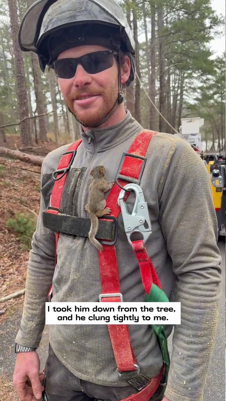 I took him down from the tree, and he clung tightly to me.