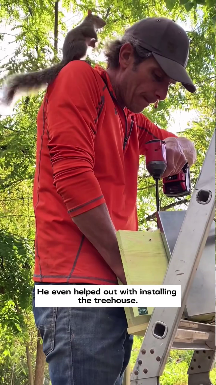 He even helped out with installing the treehouse.