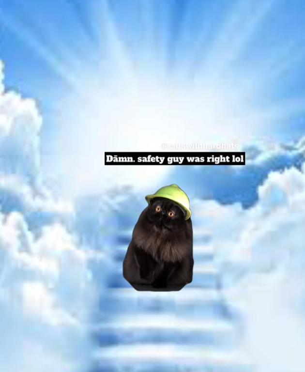 @calswithhardhats Dāmn. safety guy was right lol