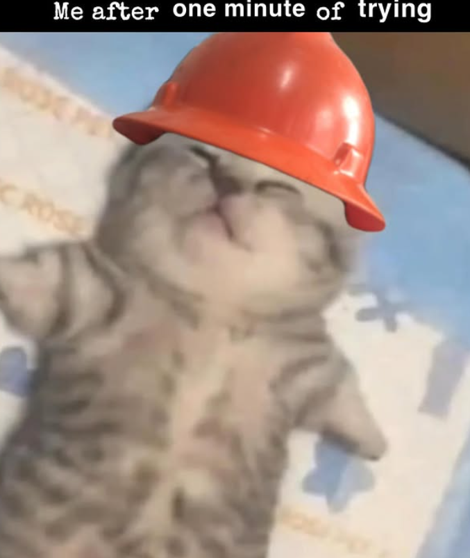 Me after one minute of trying CROSE