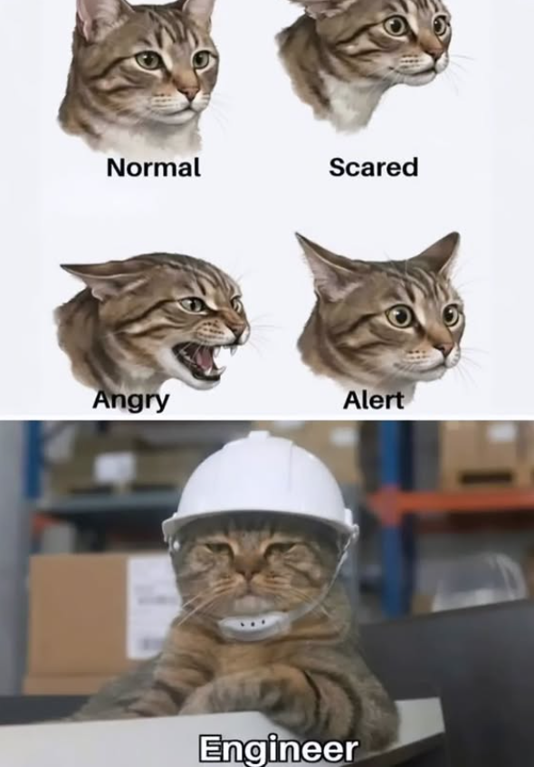 Normal Scared Angry Alert Engineer