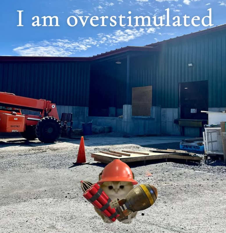 8042 I am overstimulated 2618 256