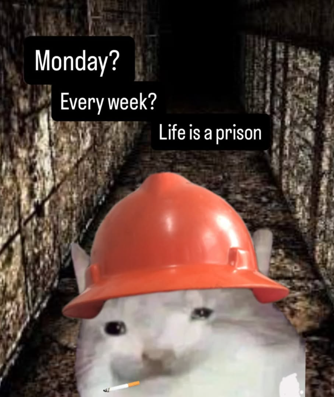 Monday? Every week? Life is a prison