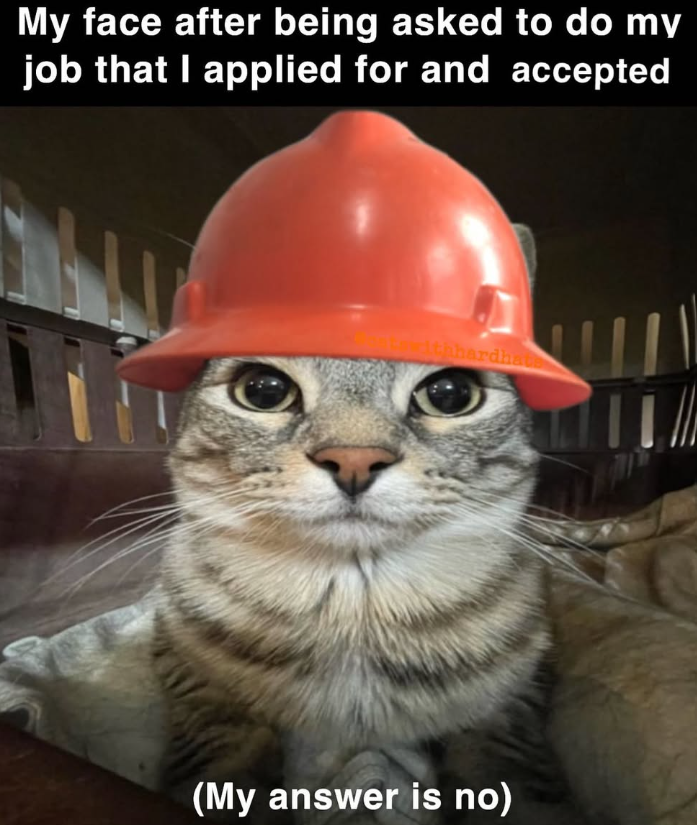 My face after being asked to do my job that I applied for and accepted thhardhat (My answer is no)