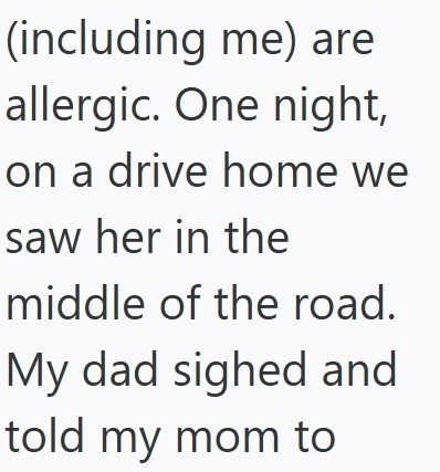 (including me) are allergic. One night, on a drive home we saw her in the middle of the road. My dad sighed and told my mom to