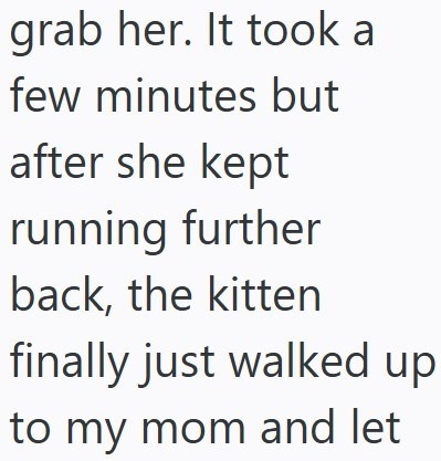 grab her. It took a few minutes but after she kept running further back, the kitten finally just walked up to my mom and let