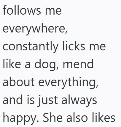 follows me everywhere, constantly licks me like a dog, mend about everything, and is just always happy. She also likes