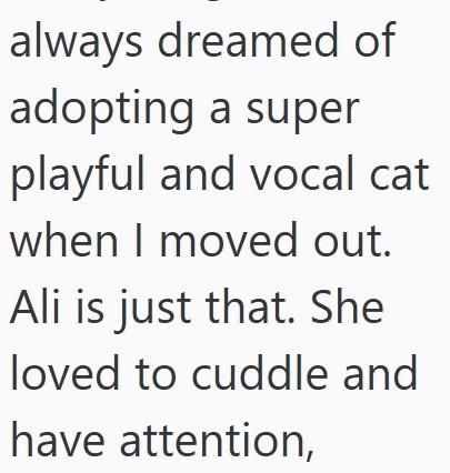 always dreamed of adopting a super playful and vocal cat when I moved out. Ali is just that. She loved to cuddle and have attention,