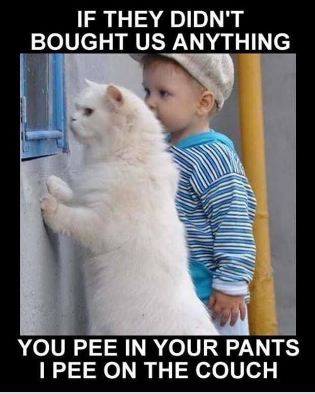 IF THEY DIDN'T BOUGHT US ANYTHING YOU PEE IN YOUR PANTS I PEE ON THE COUCH