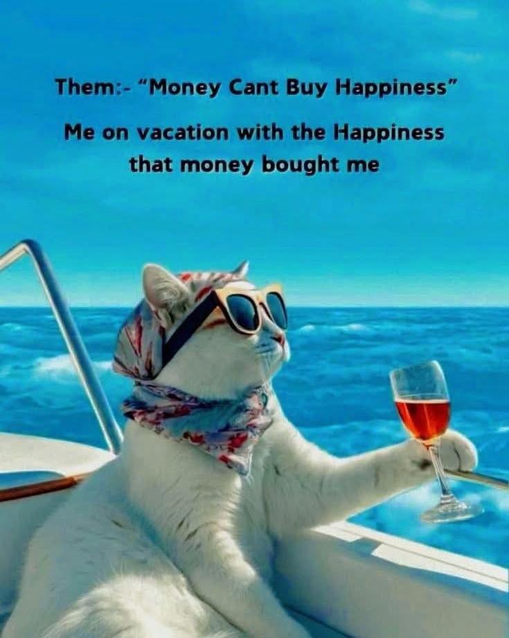 Them:- "Money Cant Buy Happiness" Me on vacation with the Happiness that money bought me
