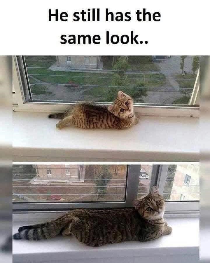 He still has the same look..