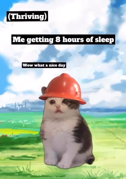 (Thriving) Me getting 8 hours of sleep Wow what a nice day