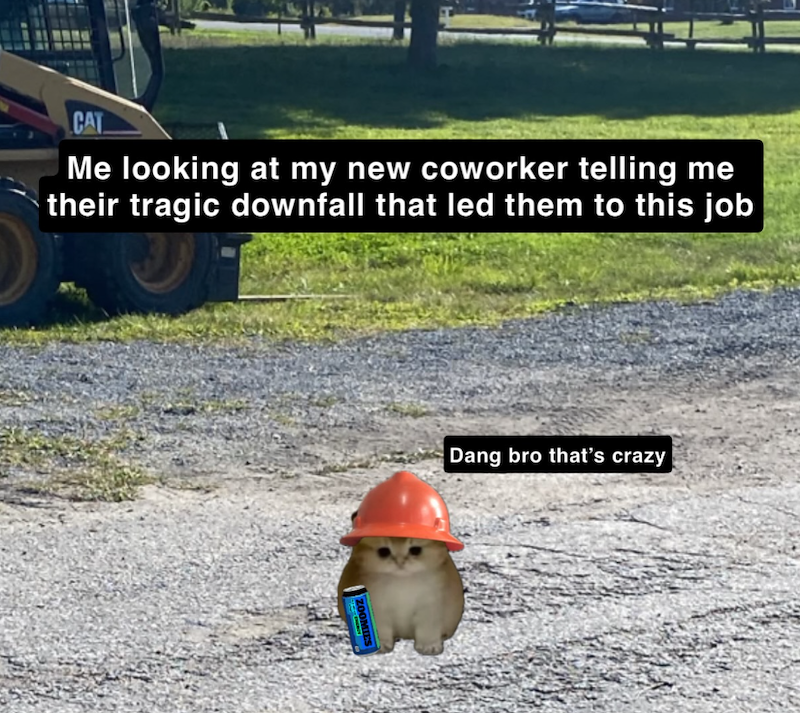 CAT Me looking at my new coworker telling me their tragic downfall that led them to this job Dang bro that's crazy ZOOMI MIES