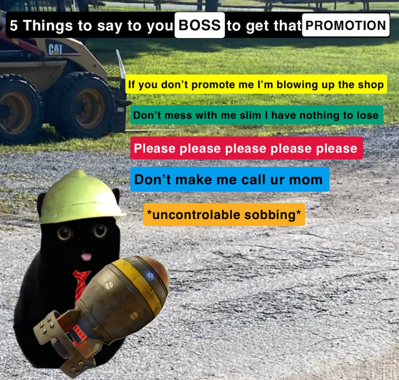 5 Things to say to you BOSS to get that PROMOTION CAT If you don't promote me I'm blowing up the shop Don't mess with me slim I have nothing to lose Please please please please please Don't make me call ur mom *uncontrolable sobbing*