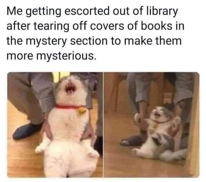 Me getting escorted out of library after tearing off covers of books in the mystery section to make them more mysterious.