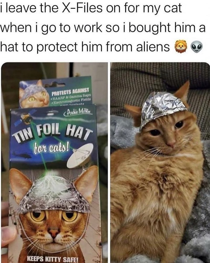 i leave the X-Files on for my cat when i go to work so i bought him a hat to protect him from aliens PROTECTS AGAINST HAARP & Gamma Hays Electromagnetic Fields Archie McPhee TIN FOIL HAT for cats! KEEPS KITTY SAFE!