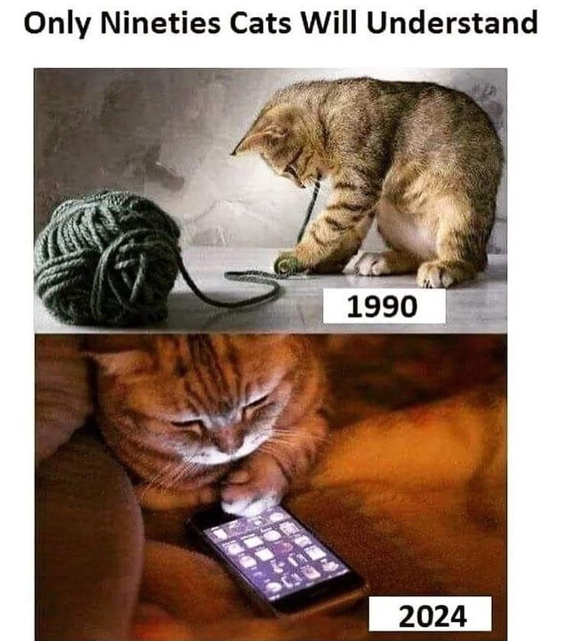 Only Nineties Cats Will Understand 1990 2024