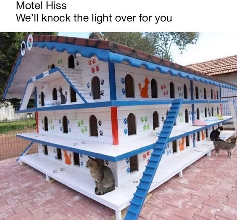 Motel Hiss We'll knock the light over for you 專營 營 專營