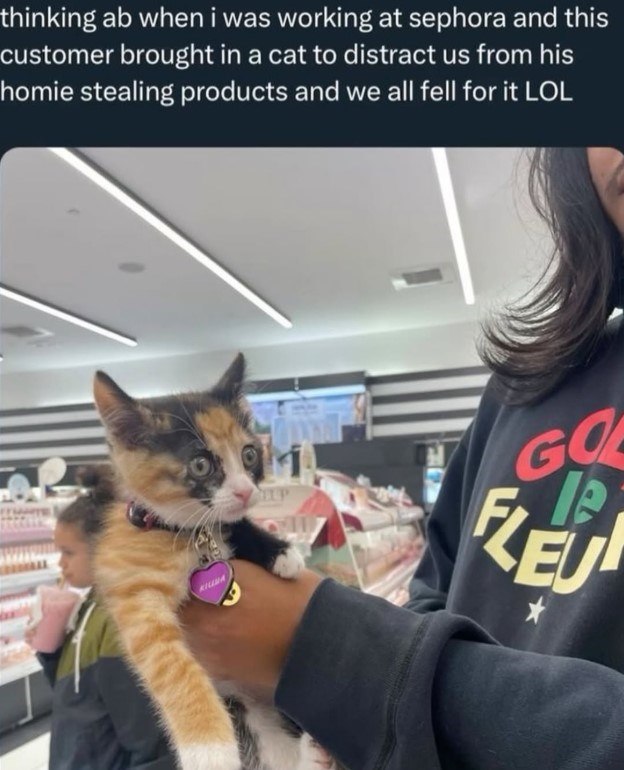 thinking ab when i was working at sephora and this customer brought in a cat to distract us from his homie stealing products and we all fell for it LOL GO LP FLEU