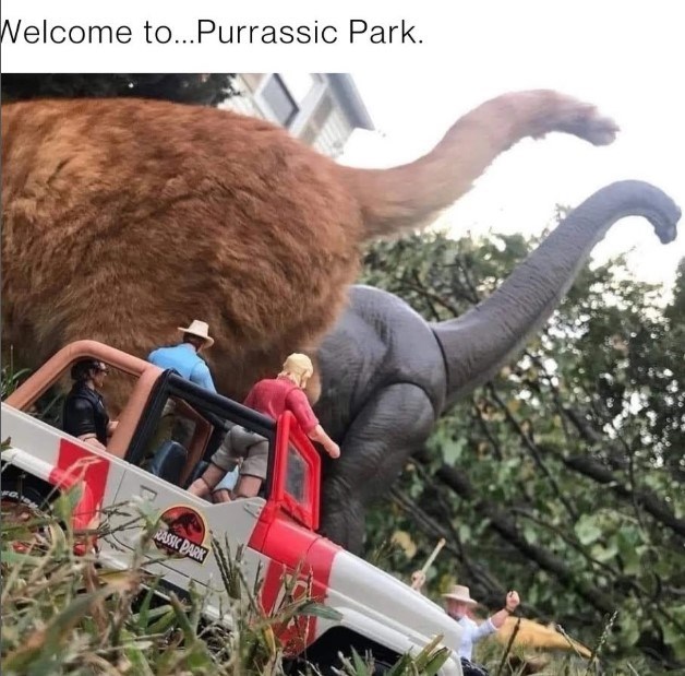 Welcome to... Purrassic Park. RASSIC PARK