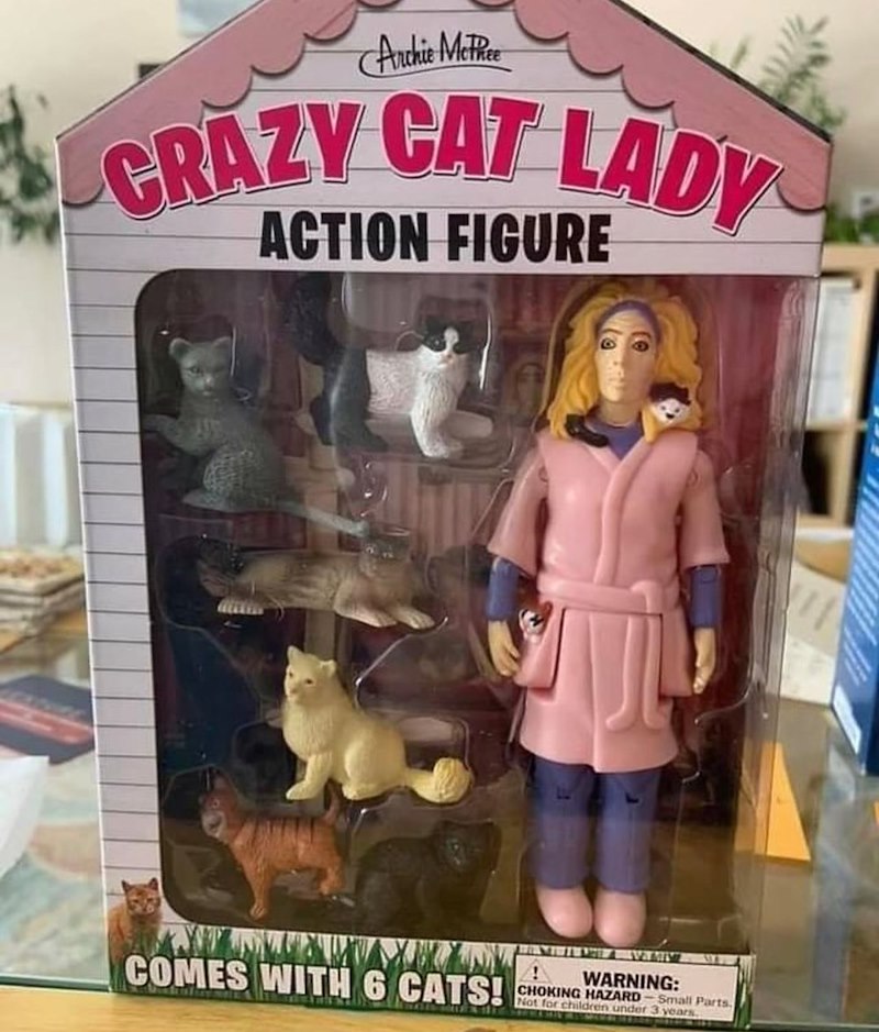 Archie McPhee CRAZY CAT LADY ACTION FIGURE COMES WITH 6 CATS! ! WARNING: CHOKING HAZARD-Small Parts Not for children under 3 years.