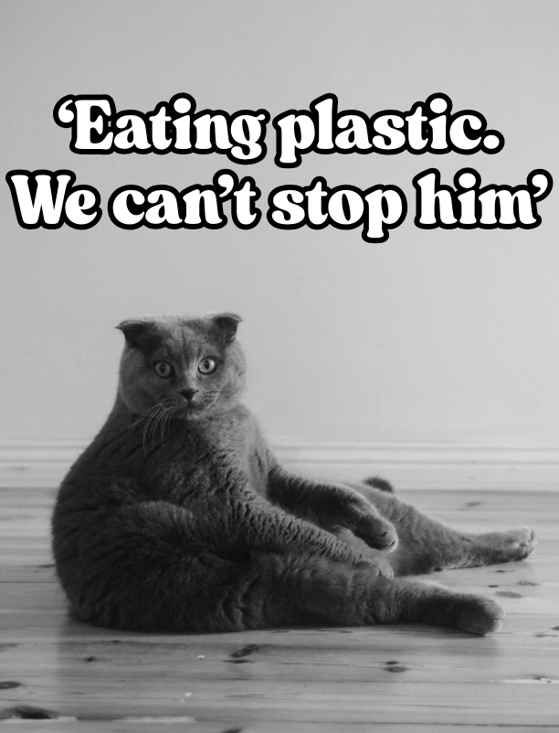'Eating plastic. We can't stop him