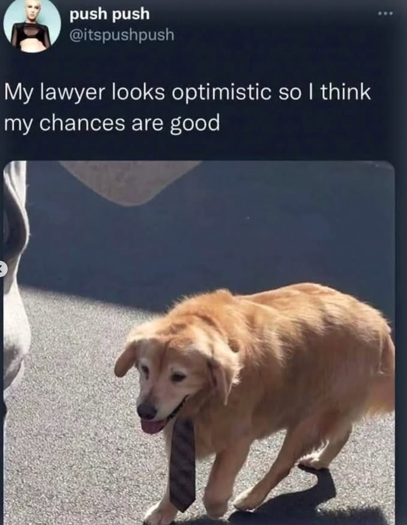 push push @itspushpush My lawyer looks optimistic so I think my chances are good