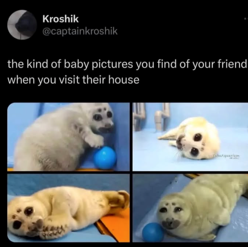C Kroshik @captainkroshik the kind of baby pictures you find of your friend when you visit their house TheAquarium