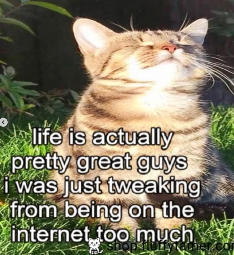 life is actually pretty great guys i was just tweaking from being on the internet too much shop fluffy amer.c