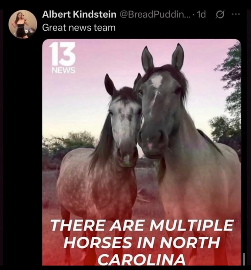 Albert Kindstein @Bread Puddin.... 1d Ø Great news team 13 NEWS THERE ARE MULTIPLE HORSES IN NORTH CAROLINA
