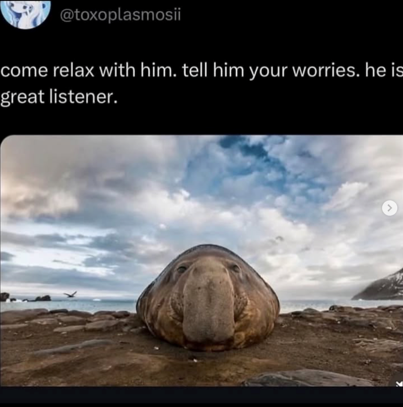 @toxoplasmosii come relax with him. tell him your worries. he is great listener.