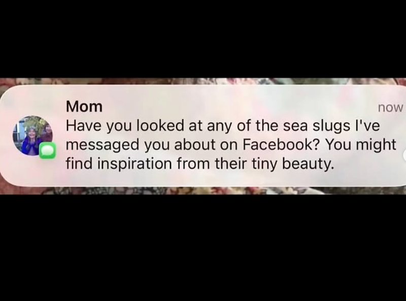 Mom now Have you looked at any of the sea slugs I've messaged you about on Facebook? You might find inspiration from their tiny beauty.