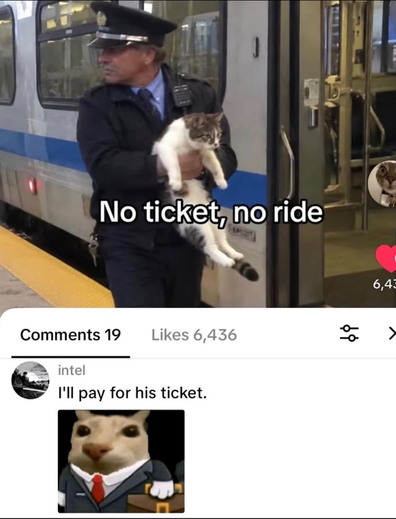 No ticket, no ride Comments 19 Likes 6,436 intel I'll pay for his ticket. 6,43